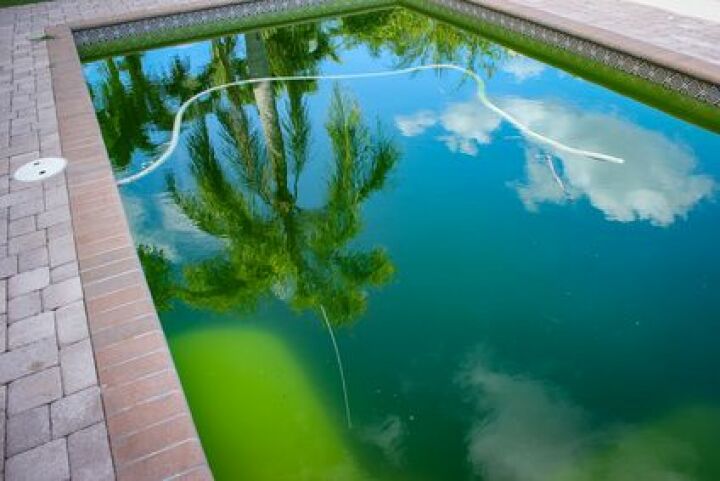 Eau verte piscine